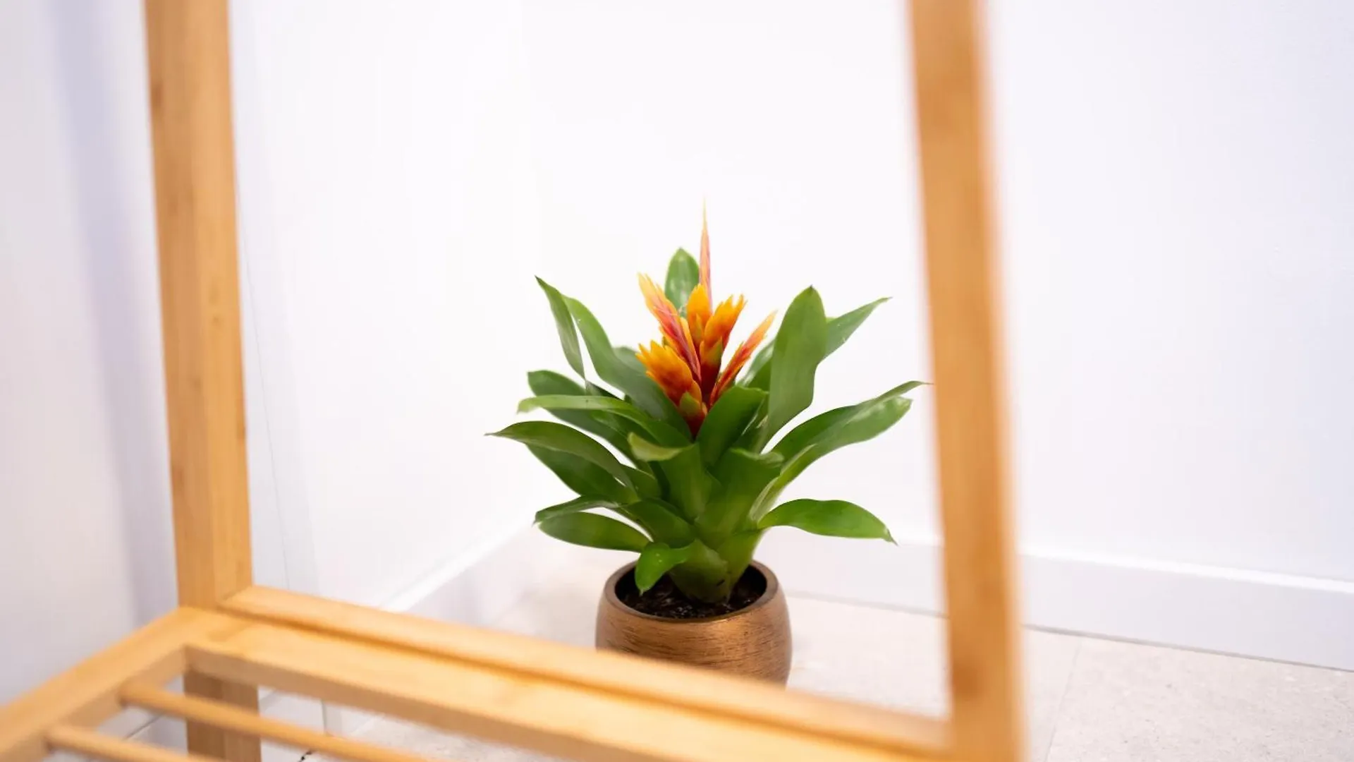 Stylish Modern Apartment With Terrace & Free Parking Vienna 0*,