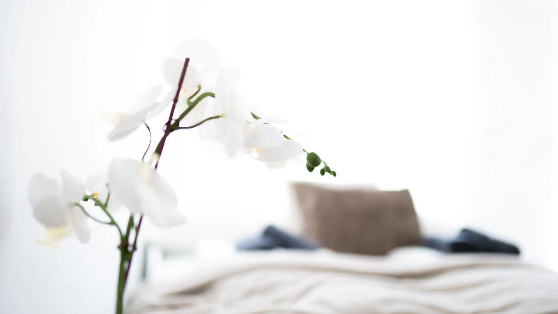 Stylish Modern Apartment With Terrace & Free Parking Vienna